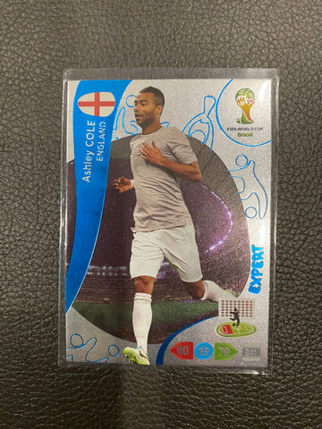 Ashley Cole 2014 Panini FIFA World Cup Expert